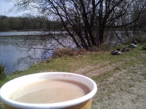 Hatfield Forest Tea at Hatfield Forest