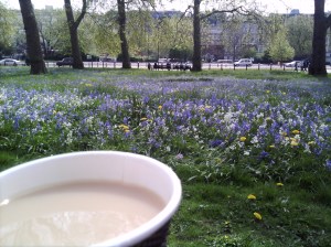 Tea and flowers at Hyde Park Corner