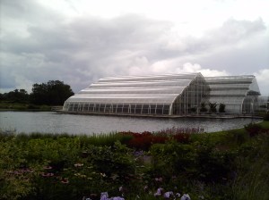 The Glasshouse from which the Glasshouse Cafe gets it's name