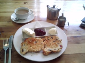 Cafe five Cream tea at Cafe five, note the toasted scones