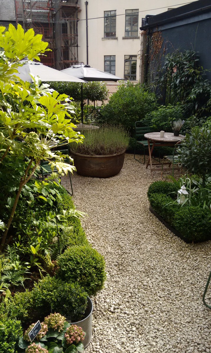 View of the garden at The Fig Store